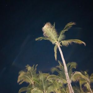 Meet your Posher, Wendi